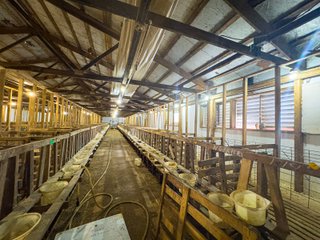 This is a tremendous opportunity to purchase a rural home and four Outbuildings with significant square footage under roof. The outbuildings offer a plethora of opportunities for livestock and/or storage, and the acreage allows for further expansion if desired. The outbuildings total 18,560 Sq. Ft. and the house contains 1,768 sq ft, 3 bedrooms, and one full bath. - REAL ESTATE FOR SALE 11.13+/- ACRES IN HUNTINGTON COUNTY, INDIANA
