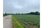 <li>52 Tillable Acres
<li>Quality Soils
<li>Excellent Drainage Outlet via Mud Creek
<li>Rolling Topography
<li>$2,024.48 Annual R.E. Taxes
<li>$114.46 Annual Ditch Taxes<br><br>
- LAND FOR SALE - 61+/- ACRES IN MADISON COUNTY, INDIANA