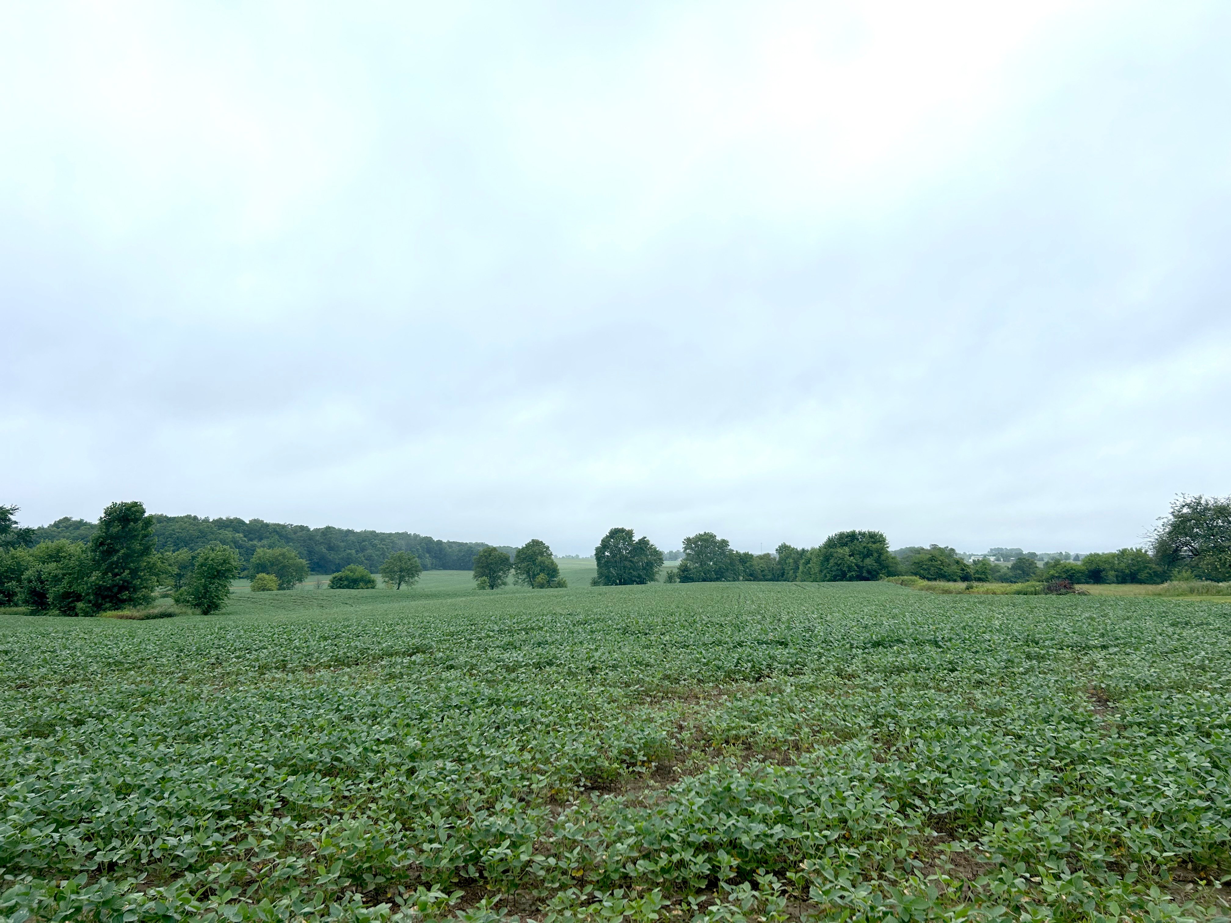 Property photo 2 - LAND FOR SALE - 61+/- ACRES IN MADISON COUNTY, INDIANA