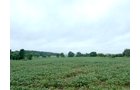 Property photo 2 - LAND FOR SALE - 61+/- ACRES IN MADISON COUNTY, INDIANA