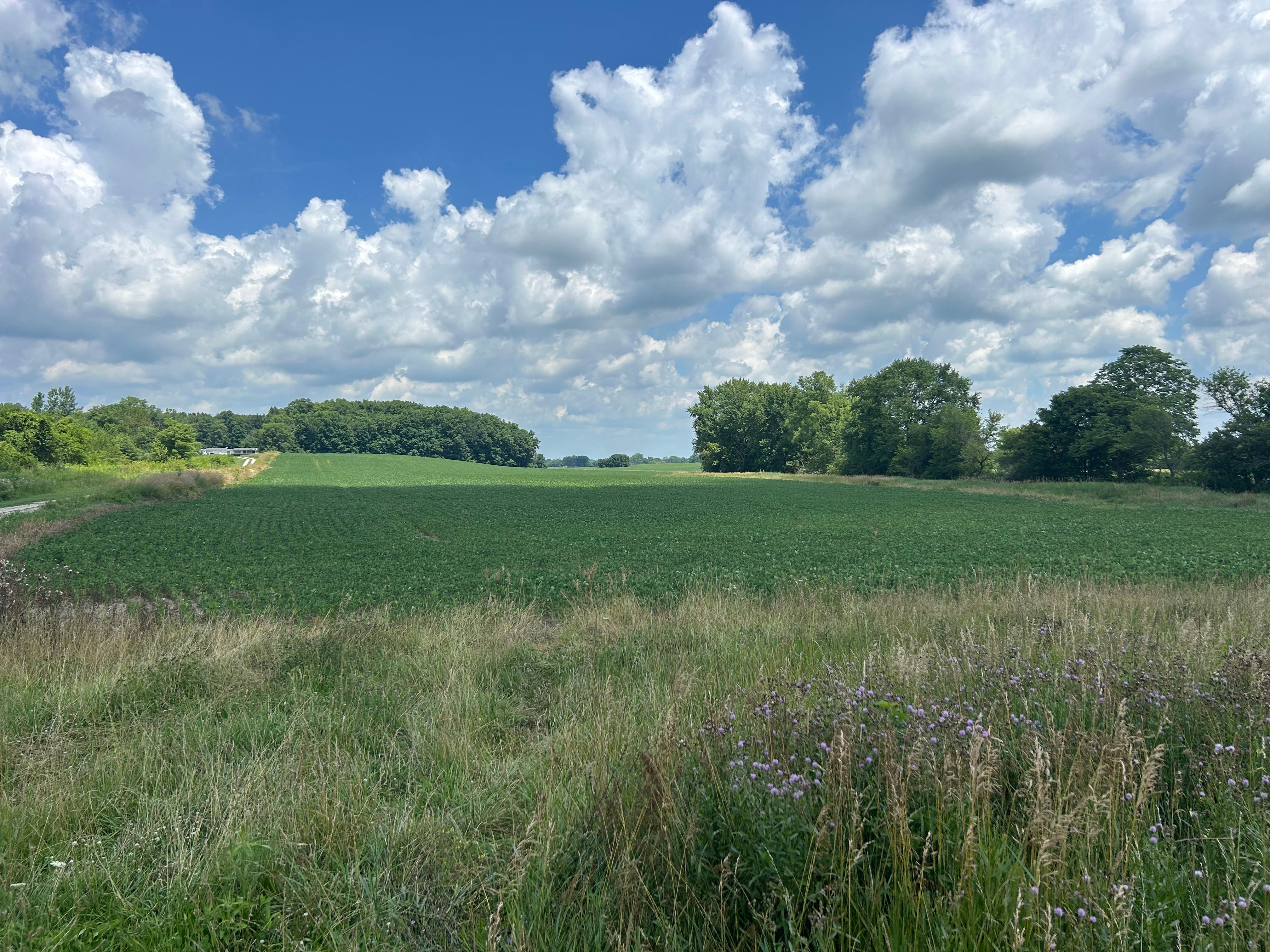 Property photo 1 - LAND FOR SALE - 61+/- ACRES IN MADISON COUNTY, INDIANA