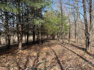 Discover 38.80+/- acres of peaceful recreational land, offering the perfect blend of open space and natural beauty. This versatile property features an existing pole barn, a well, and a potential buildable site ready to go - ideal for your dream home, weekend retreat, or hunting cabin. The land has a nice mix of pines and hardwoods, including walnut trees, and 34.75+/- of the 38.80+/- acres is already enrolled in Classified Land, providing potential tax benefits. An open drainage outlet runs through the property, enhancing its natural habitat. Deer sign is plentiful, making it a prime spot for hunting or simply enjoying abundant wildlife in your backyard. With room for walking trails and outdoor exploration, this is a serene and scenic getaway waiting for your vision. - LAND FOR SALE - 38.80+/- ACRES OFFERED IN KOSCIUSKO COUNTY, INDIANA