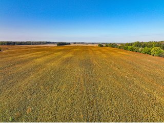 Property photo 30 - LAND AUCTION - 380+/-ACRES OFFERED IN 16 TRACTS IN ELKHART COUNTY, INDIANA