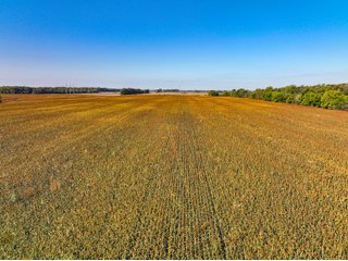 Property photo 31 - LAND AUCTION - 380+/-ACRES OFFERED IN 16 TRACTS IN ELKHART COUNTY, INDIANA