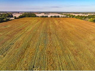 Property photo 35 - LAND AUCTION - 380+/-ACRES OFFERED IN 16 TRACTS IN ELKHART COUNTY, INDIANA