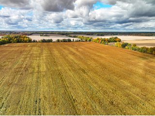 Property photo 20 - LAND AUCTION - 380+/-ACRES OFFERED IN 16 TRACTS IN ELKHART COUNTY, INDIANA