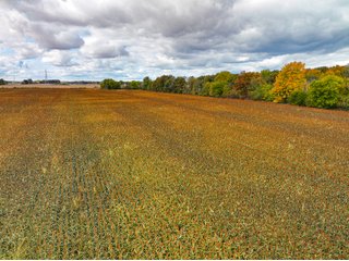 Property photo 26 - LAND AUCTION - 380+/-ACRES OFFERED IN 16 TRACTS IN ELKHART COUNTY, INDIANA