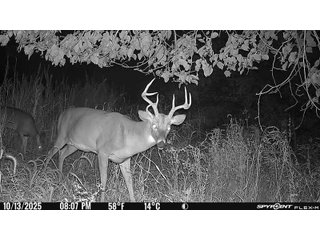 Property photo 2 - LAND AUCTION - 380+/-ACRES OFFERED IN 16 TRACTS IN ELKHART COUNTY, INDIANA