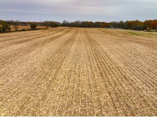 Property photo 28 - LAND AUCTION - 75.1+/-ACRES OFFERED IN 4 TRACTS IN KOSCIUSKO COUNTY, INDIANA