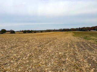 Property photo 14 - LAND AUCTION - 75.1+/-ACRES OFFERED IN 4 TRACTS IN KOSCIUSKO COUNTY, INDIANA