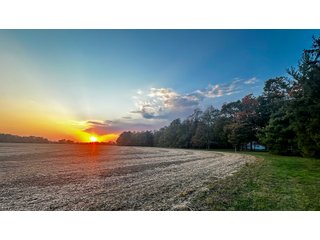 Property photo 10 - REAL ESTATE AUCTION - 219+/- ACRES OFFERED IN 5 TRACTS IN DELAWARE COUNTY, INDIANA