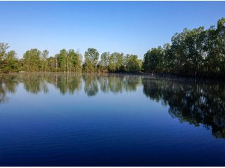 Property photo 11 - REAL ESTATE AUCTION - 219+/- ACRES OFFERED IN 5 TRACTS IN DELAWARE COUNTY, INDIANA
