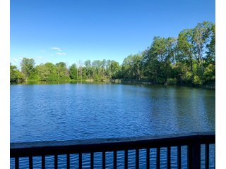 Property photo 12 - REAL ESTATE AUCTION - 219+/- ACRES OFFERED IN 5 TRACTS IN DELAWARE COUNTY, INDIANA