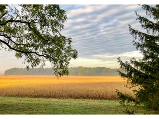 Property photo 18 - REAL ESTATE AUCTION - 219+/- ACRES OFFERED IN 5 TRACTS IN DELAWARE COUNTY, INDIANA
