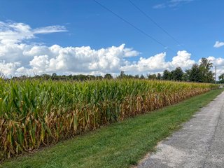 Property photo 19 - REAL ESTATE AUCTION - 219+/- ACRES OFFERED IN 5 TRACTS IN DELAWARE COUNTY, INDIANA
