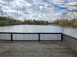 Property photo 20 - REAL ESTATE AUCTION - 219+/- ACRES OFFERED IN 5 TRACTS IN DELAWARE COUNTY, INDIANA