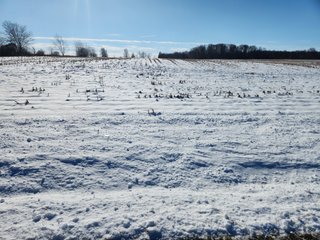 Property photo 1 - LAND AUCTION - 28+/-ACRES OFFERED IN 2 TRACTS IN WELLS COUNTY, INDIANA