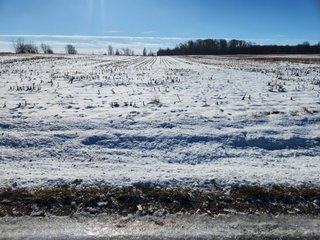 Property photo 2 - LAND AUCTION - 28+/-ACRES OFFERED IN 2 TRACTS IN WELLS COUNTY, INDIANA