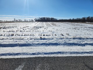 Property photo 3 - LAND AUCTION - 28+/-ACRES OFFERED IN 2 TRACTS IN WELLS COUNTY, INDIANA