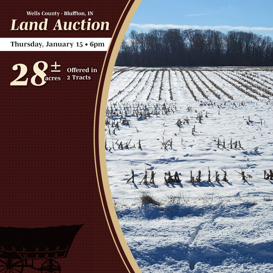 LAND AUCTION - 28+/-ACRES OFFERED IN 2 TRACTS IN WELLS COUNTY, INDIANA