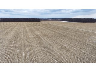 Property photo 2 - LAND AUCTION - 95+/-ACRES OFFERED IN 5 TRACTS IN ADAMS COUNTY, INDIANA
