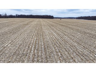 Property photo 3 - LAND AUCTION - 95+/-ACRES OFFERED IN 5 TRACTS IN ADAMS COUNTY, INDIANA