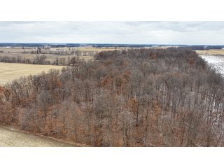 Property photo 5 - LAND AUCTION - 95+/-ACRES OFFERED IN 5 TRACTS IN ADAMS COUNTY, INDIANA