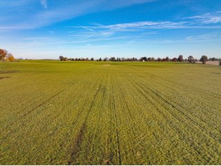 Property photo 36 - KENTUCKY FARMLAND AUCTION - 246+/-ACRES OFFERED IN 9 TRACTS IN MERCER COUNTY, KENTUCKY