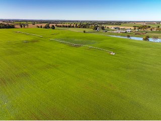 Property photo 17 - KENTUCKY FARMLAND AUCTION - 246+/-ACRES OFFERED IN 9 TRACTS IN MERCER COUNTY, KENTUCKY
