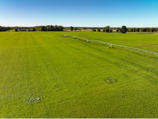Property photo 15 - KENTUCKY FARMLAND AUCTION - 246+/-ACRES OFFERED IN 9 TRACTS IN MERCER COUNTY, KENTUCKY