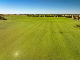 Property photo 11 - KENTUCKY FARMLAND AUCTION - 246+/-ACRES OFFERED IN 9 TRACTS IN MERCER COUNTY, KENTUCKY