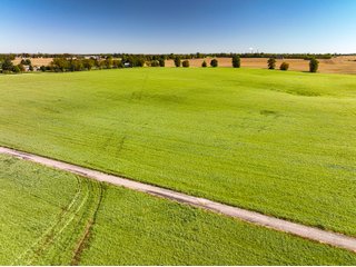 Property photo 7 - KENTUCKY FARMLAND AUCTION - 246+/-ACRES OFFERED IN 9 TRACTS IN MERCER COUNTY, KENTUCKY