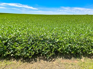 Property photo 26 - KENTUCKY FARMLAND AUCTION - 246+/-ACRES OFFERED IN 9 TRACTS IN MERCER COUNTY, KENTUCKY