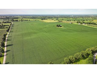Property photo 5 - KENTUCKY FARMLAND AUCTION - 246+/-ACRES OFFERED IN 9 TRACTS IN MERCER COUNTY, KENTUCKY