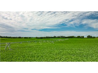 Property photo 28 - KENTUCKY FARMLAND AUCTION - 246+/-ACRES OFFERED IN 9 TRACTS IN MERCER COUNTY, KENTUCKY