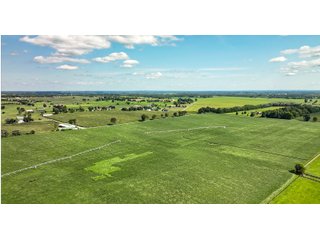 Property photo 2 - KENTUCKY FARMLAND AUCTION - 246+/-ACRES OFFERED IN 9 TRACTS IN MERCER COUNTY, KENTUCKY