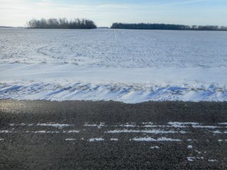 Property photo 12 - LAND AUCTION - 114+/-ACRES OFFERED IN 6 TRACTS IN ADAMS COUNTY, INDIANA