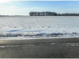 Property photo 13 - LAND AUCTION - 114+/-ACRES OFFERED IN 6 TRACTS IN ADAMS COUNTY, INDIANA
