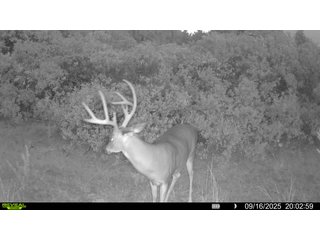 Property photo 205 - 2,950+/- CONTIGUOUS ACRES IN WOODWARD COUNTY, OKLAHOMA