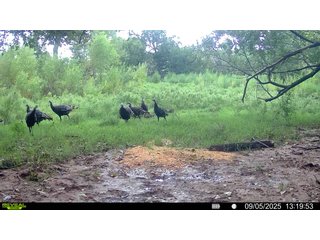 Property photo 206 - 2,950+/- CONTIGUOUS ACRES IN WOODWARD COUNTY, OKLAHOMA