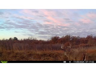 Property photo 207 - 2,950+/- CONTIGUOUS ACRES IN WOODWARD COUNTY, OKLAHOMA