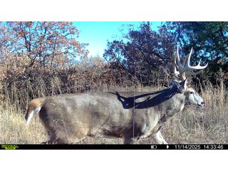 Property photo 208 - 2,950+/- CONTIGUOUS ACRES IN WOODWARD COUNTY, OKLAHOMA
