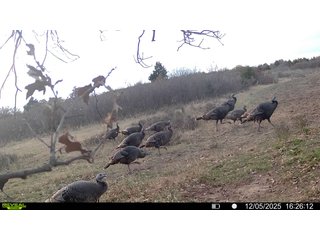 Property photo 209 - 2,950+/- CONTIGUOUS ACRES IN WOODWARD COUNTY, OKLAHOMA