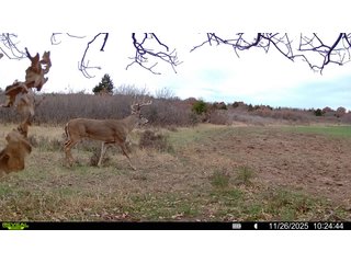 Property photo 210 - 2,950+/- CONTIGUOUS ACRES IN WOODWARD COUNTY, OKLAHOMA