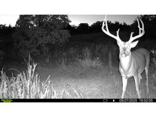 Property photo 211 - 2,950+/- CONTIGUOUS ACRES IN WOODWARD COUNTY, OKLAHOMA
