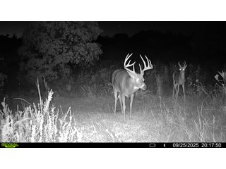 Property photo 212 - 2,950+/- CONTIGUOUS ACRES IN WOODWARD COUNTY, OKLAHOMA