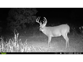 Property photo 213 - 2,950+/- CONTIGUOUS ACRES IN WOODWARD COUNTY, OKLAHOMA