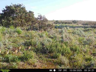 Property photo 214 - 2,950+/- CONTIGUOUS ACRES IN WOODWARD COUNTY, OKLAHOMA