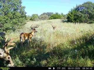Property photo 215 - 2,950+/- CONTIGUOUS ACRES IN WOODWARD COUNTY, OKLAHOMA