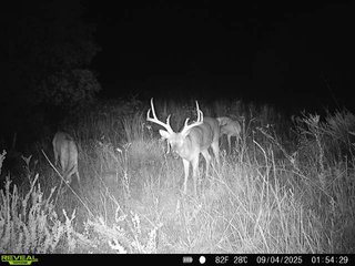 Property photo 216 - 2,950+/- CONTIGUOUS ACRES IN WOODWARD COUNTY, OKLAHOMA